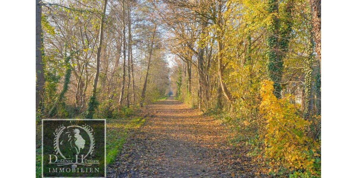 Erstbezug nach Modernisierung direkt am Maudacher Bruch-Ideal für Spaziergänge mit Hund 2 zimmer