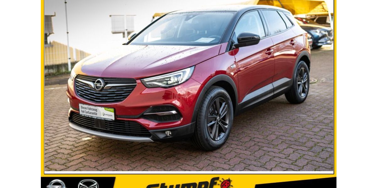 Opel Grandland (X) 76.610 km 17.995 &euro; Heppenheim 64646