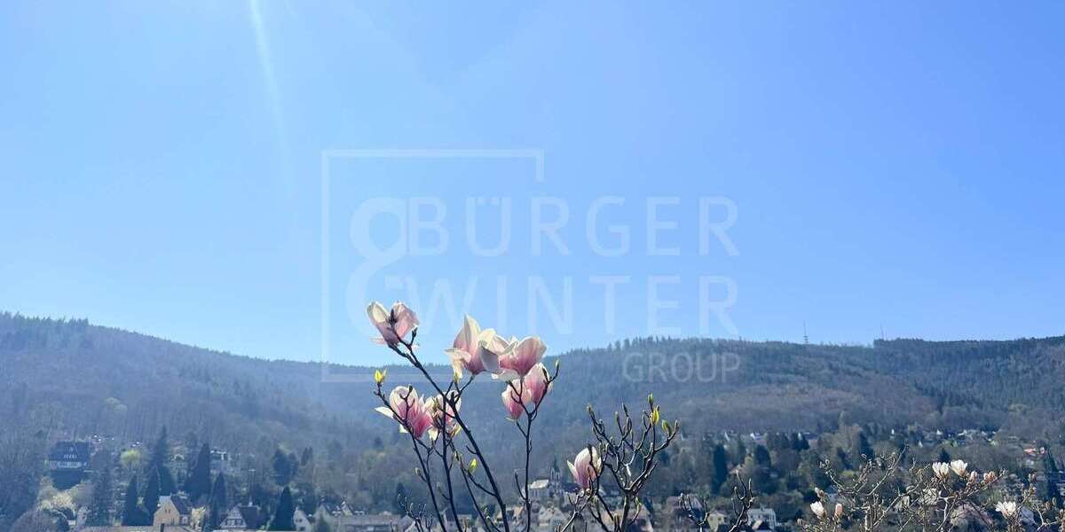 Etagenwohnung Heidelberg Peterstal - 2 Zimmer, 157 m&sup2;, 460.000&euro; | Angebot:24524566