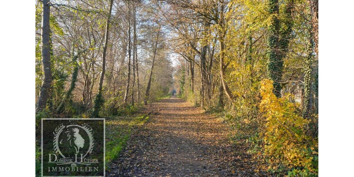 Erstbezug nach Modernisierung direkt am Maudacher Bruch-Ideal für Spaziergänge mit Hund 2 zimmer