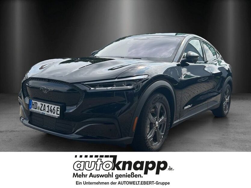 Mustang
