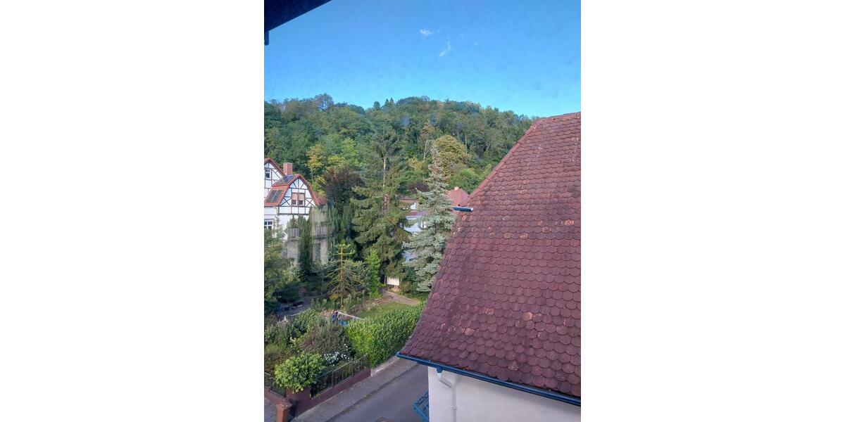 Dachgeschoßwohnung Laudenbach - 2 Zimmer, 63 m&sup2;, 900&euro; | Angebot:24672624