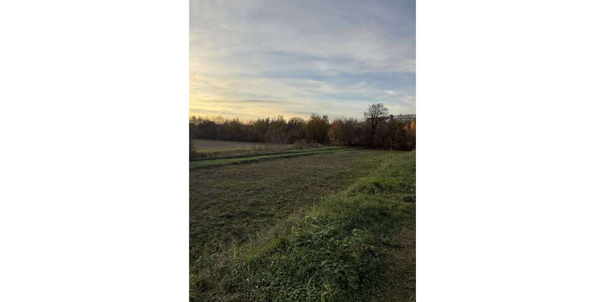 Grundstück Speyer - 485.120&euro; | Angebot:25233989