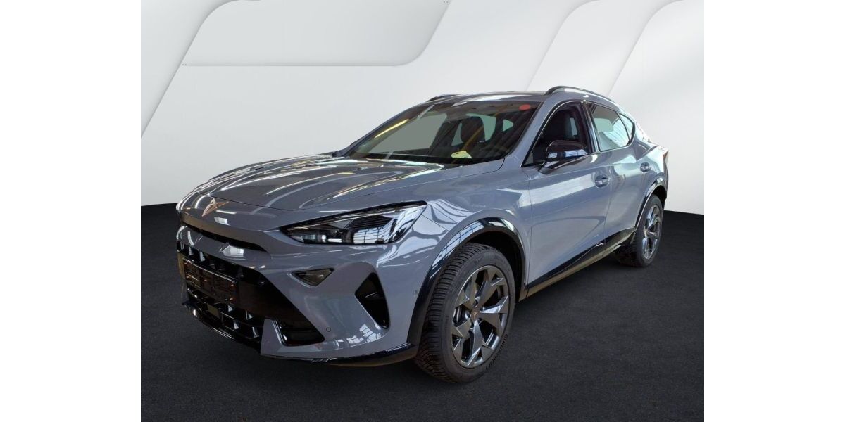 Cupra Formentor 19.342 km 32.950 € Weinheim 69469