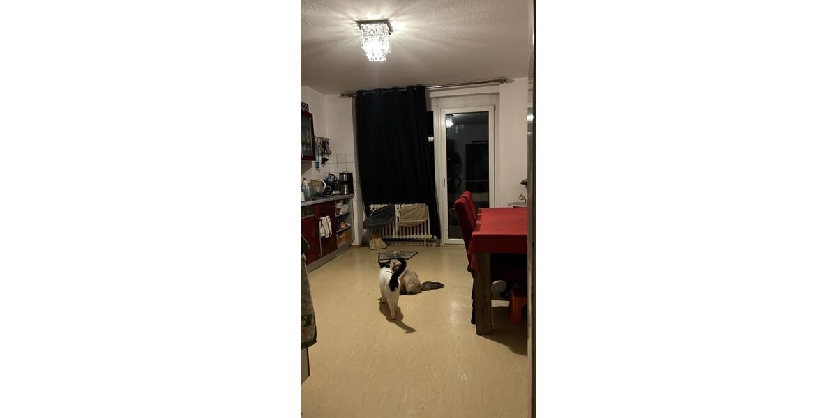 Etagenwohnung Ludwigshafen am Rhein Ludwigshafen-Hemshof - 3 Zimmer, 85 m&sup2;, 200.000&euro; | Angebot:26863937