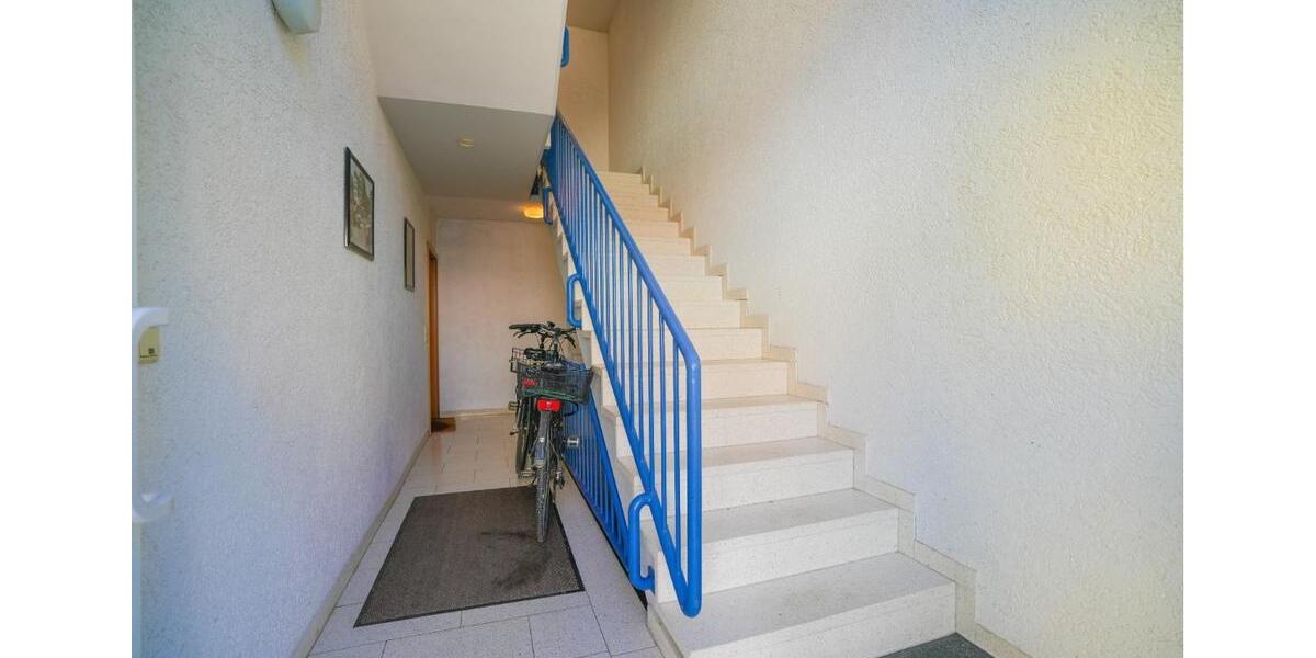 Erstbezug nach Modernisierung direkt am Maudacher Bruch-Ideal für Spaziergänge mit Hund 2 zimmer