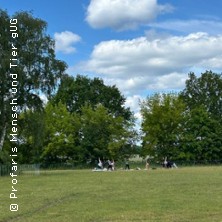 Yoga mit Schafen & Ziegen in der Natur