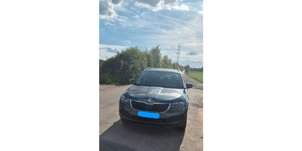 Skoda Karoq 82.000 km 19.999 &euro; Ladenburg 68526