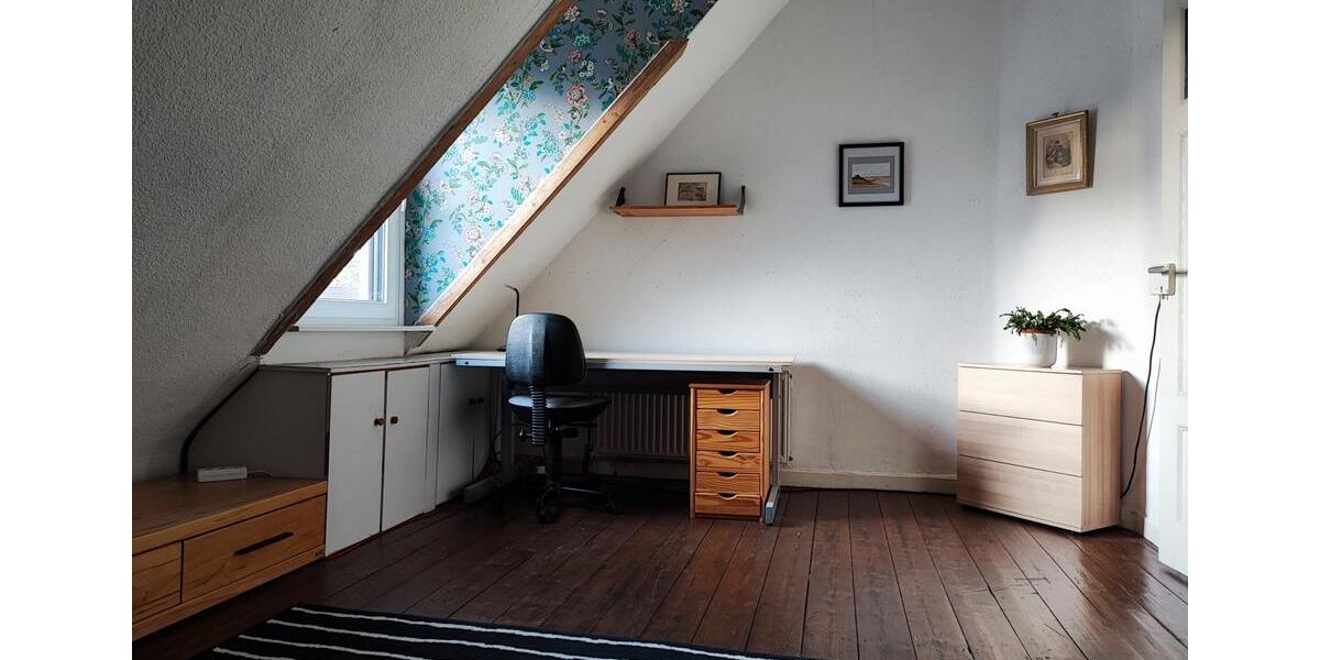 Dachgeschoßwohnung Mannheim Neckarstadt-Ost - 2 Zimmer, 70 m&sup2;, 1.100&euro; | Angebot:26096069