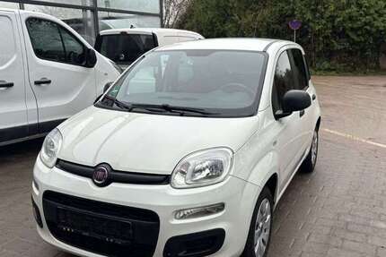 Fiat Panda 55.980 km 7.490 &euro; Frankenthal, Pfalz 67227