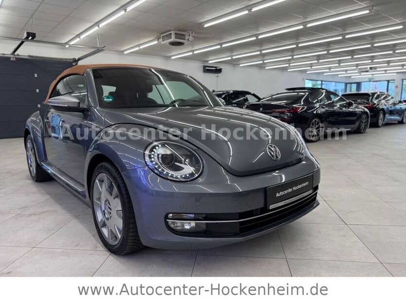 Beetle