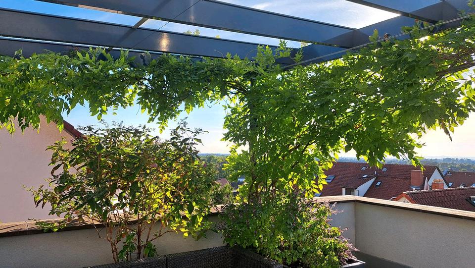 Maisonettenwohnung Weinheim - 4.5 Zimmer, 160 m&sup2;, 650.000&euro; | Angebot:27156267