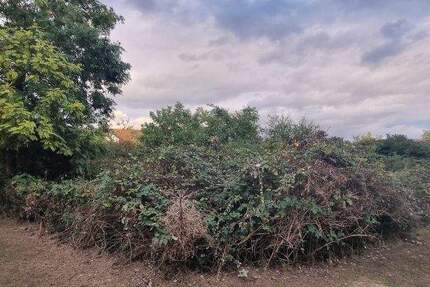 Bauplatz in sehr beliebter Wohnlage von MA-Seckenheim - 0-4004 zimmer
