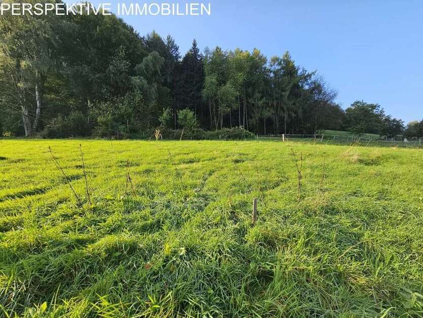 Grundstück zu verkaufen in Erbach 95.000 € 1048 m²
