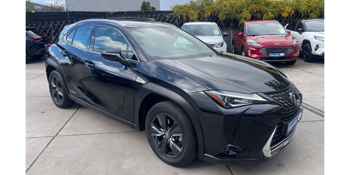 Lexus UX 60.000 km 22.900 &euro; Neuhofen 67141