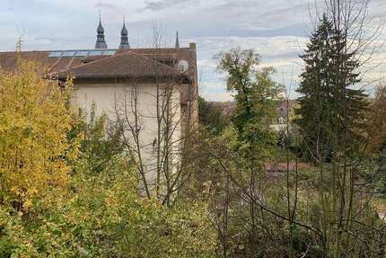 Wohnung zum Mieten in Speyer 930 € 62 m² 2 zimmer