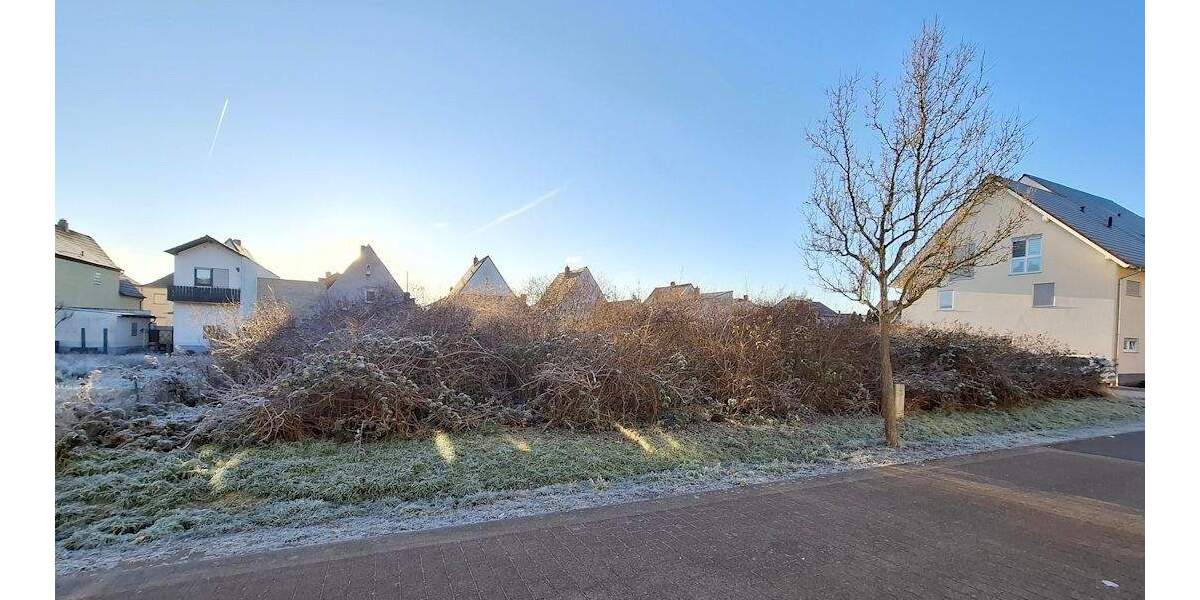 Grundstück Schifferstadt - 320.000&euro; | Angebot:25213139