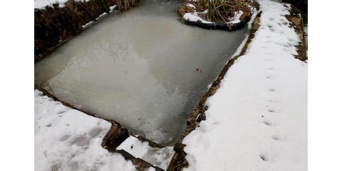 Einfamilienhaus Wald-Michelbach Michelbach - 4.5 Zimmer, 150 m&sup2;, 260.000&euro; | Angebot:24456113