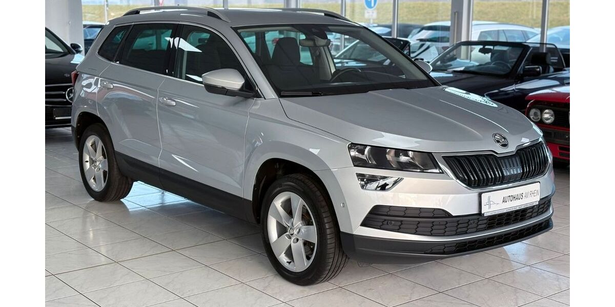 Skoda Karoq 131.000 km 18.990 &euro; Speyer 67346