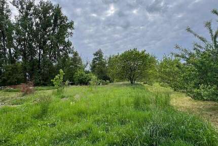 Grundstück Mauer Im Winkel - 13.000&euro; | Angebot:20687014