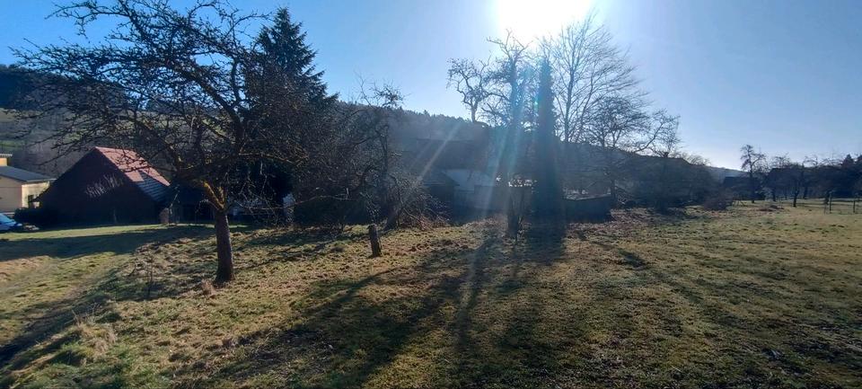 Bauernhaus, Landhaus Oberzent - 1 Zimmer, 123 m&sup2;, 125.000&euro; | Angebot:26891223