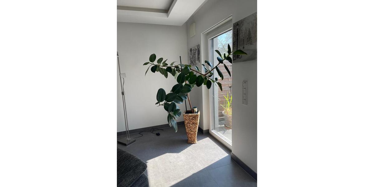 Doppelhaushälfte Ludwigshafen am Rhein Edigheim - 5 Zimmer, 230 m&sup2;, 745.000&euro; | Angebot:26963324