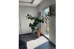 Doppelhaushälfte Ludwigshafen am Rhein Edigheim - 5 Zimmer, 230 m&sup2;, 745.000&euro; | Angebot:26963324