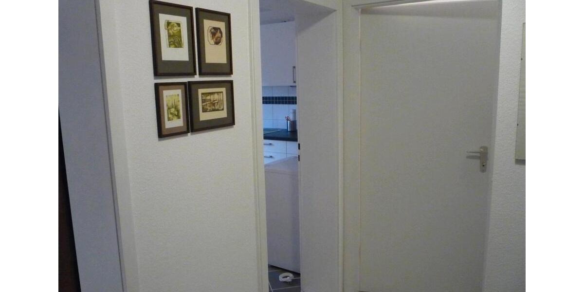 Helle, möblierte 1,5Zimmer Wohnung 1.5 zimmer