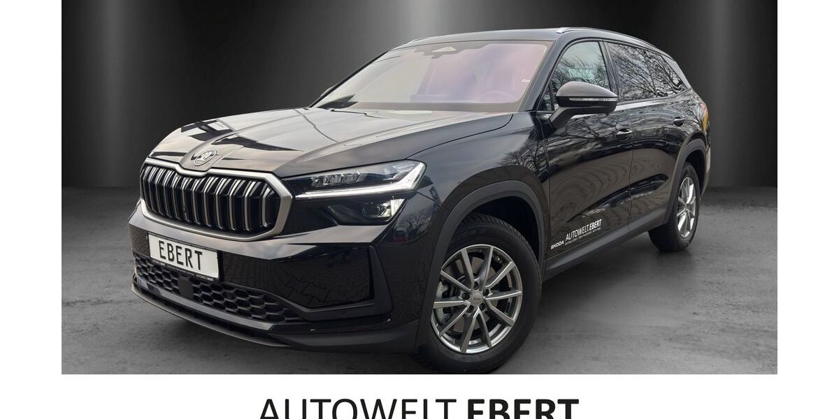 Skoda Kodiaq 8.990 km 57.990 &euro; Weinheim 69469