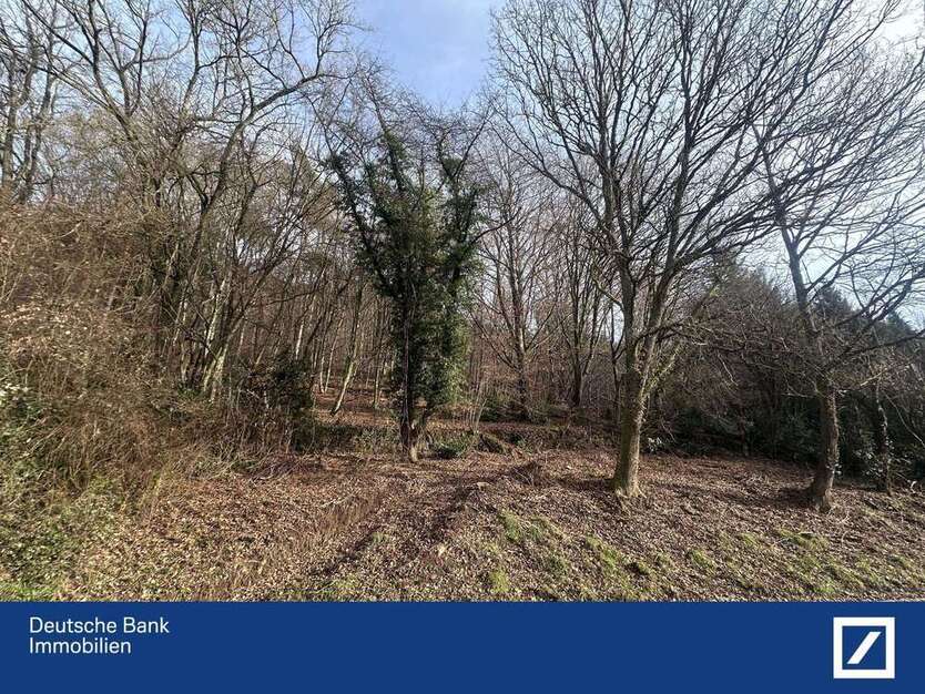 Grundstück zu verkaufen in Schönau 180.000 € 2135 m²