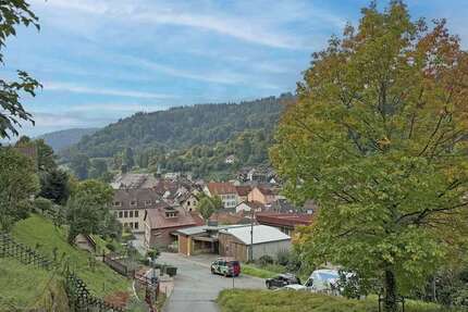 Grundstück zu verkaufen in Schönau 98.000 € 770 m² zimmer