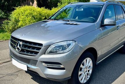 Mercedes-Benz ML 250 122.775 km 22.000 &euro; Kronau 76709