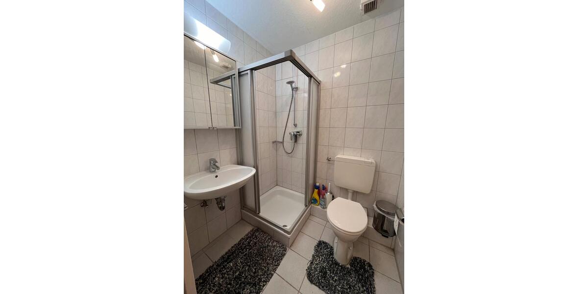 Appartment.,vollmöbliert,gute Ausstatt.,MA-Neckarst.-Ost 2 zimmer