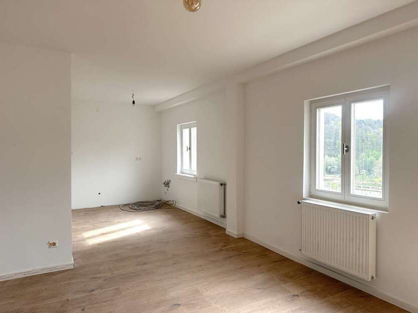 Wohnung zum Mieten in Neckarsteinach 1.900 € 170 m²