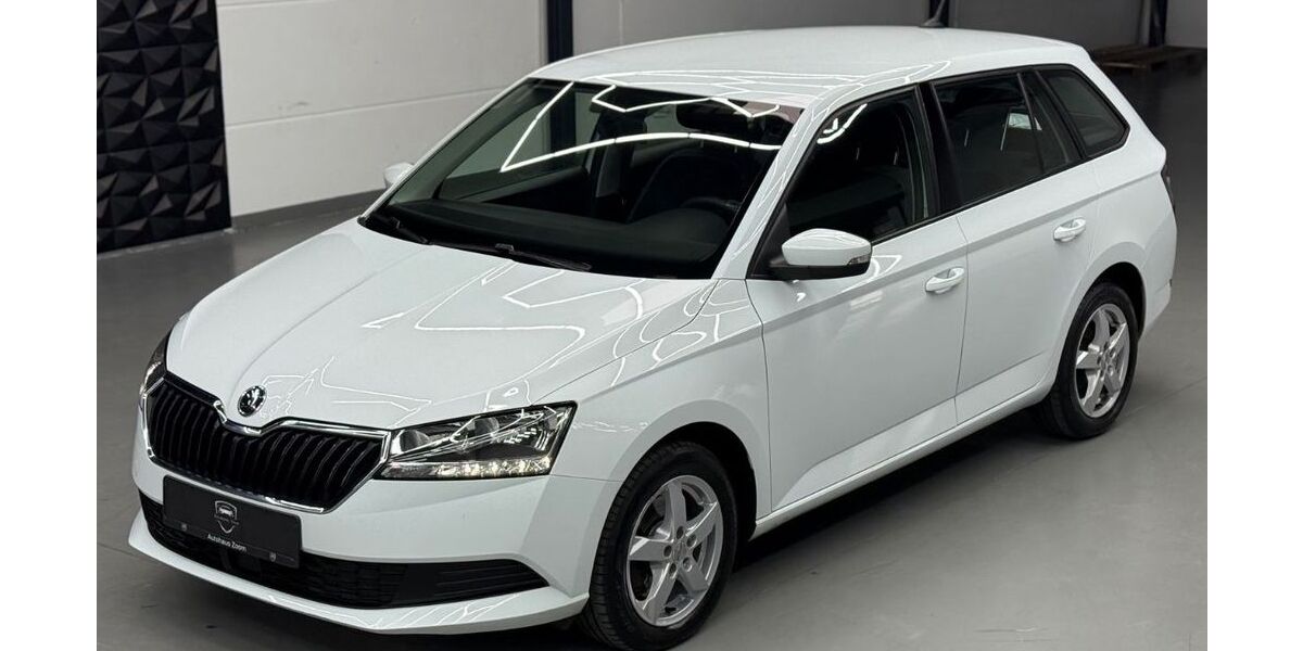 Skoda Fabia 124.620 km 11.740 &euro; Sinsheim 74889