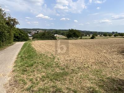 PLANE DEIN EIGENES TRAUMHAUS IM GRÜNEN