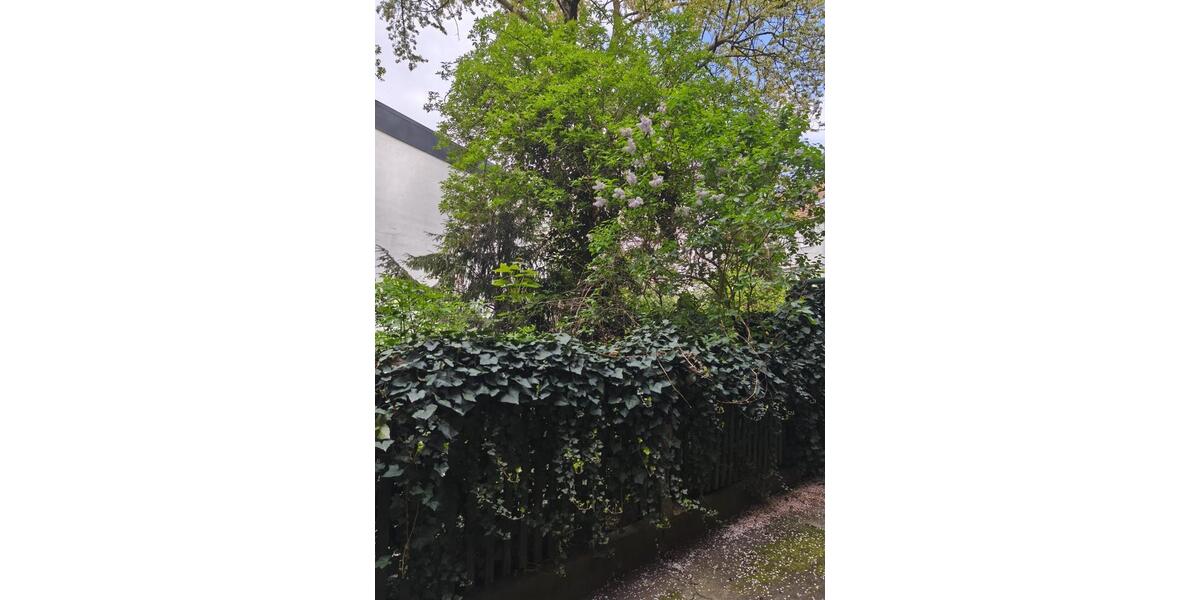 Etagenwohnung Mannheim Niederfeld - 1 Zimmer, 20 m&sup2;, 495&euro; | Angebot:26338858