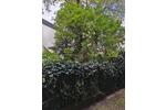 Etagenwohnung Mannheim Niederfeld - 1 Zimmer, 20 m&sup2;, 495&euro; | Angebot:26338858