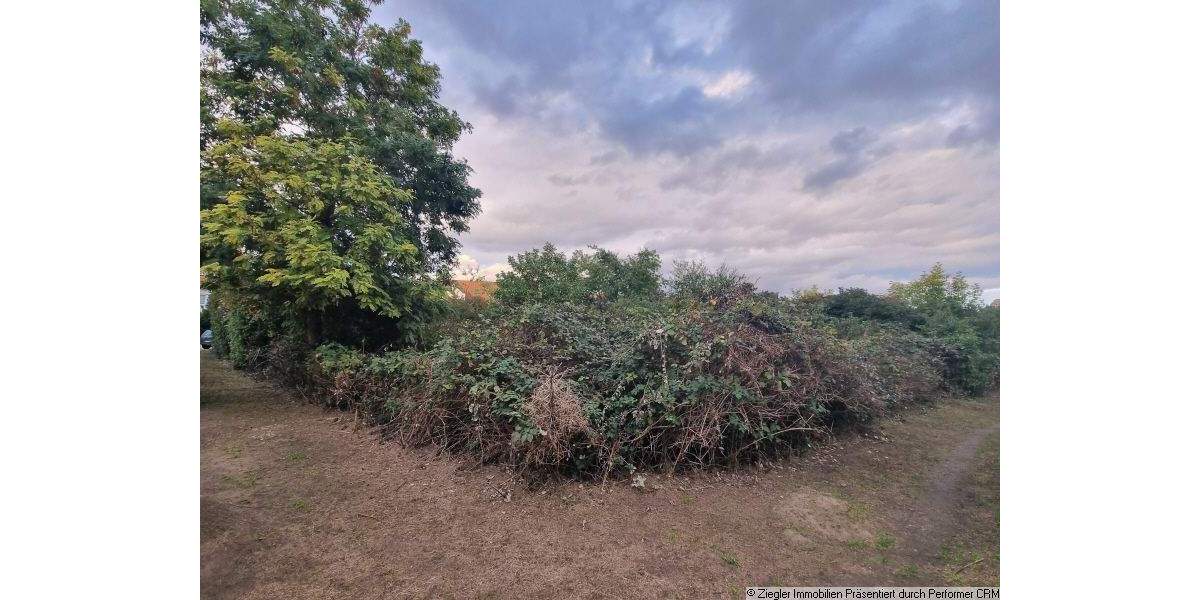 Bauplatz in TOP-Lage von MA-Seckenheim - 0-4004 zimmer