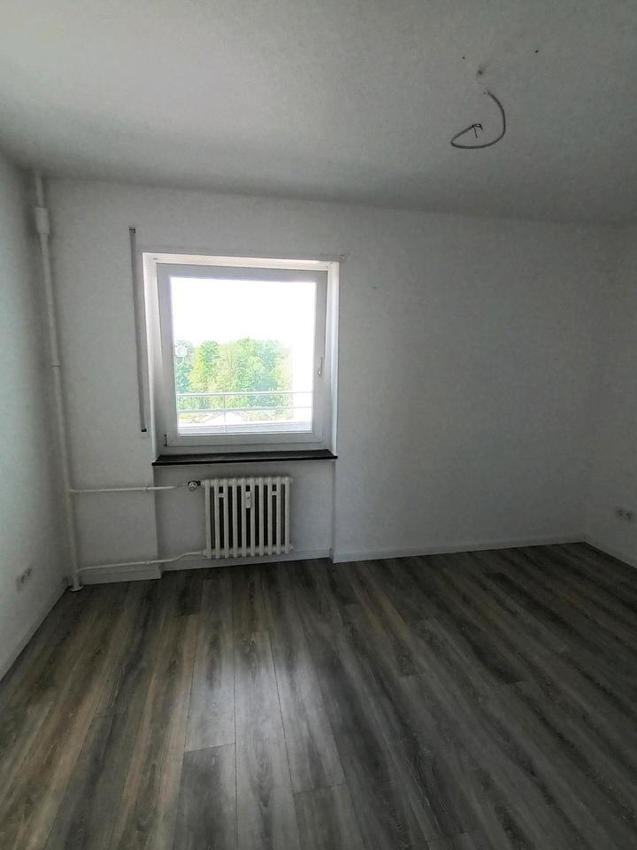 3 ZKB in Limburgerhof (Sportplatz, Waldrand)