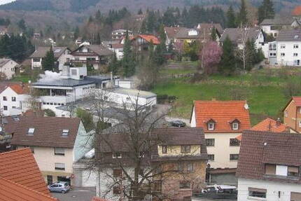 Wohnung Schriesheim Altenbach - 3 Zimmer, 80 m&sup2;, 730&euro; | Angebot:26424399