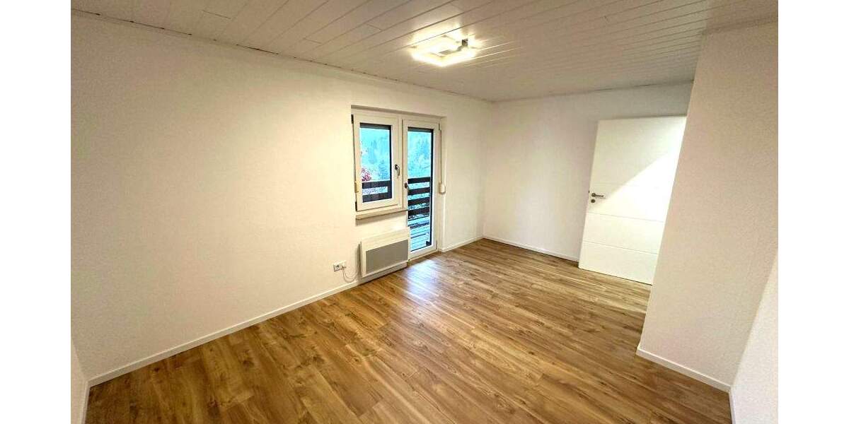 GLOBAL INVEST SINSHEIM | Erstbezug nach umfassender Sanierung - 2,5-Zimmer-Wohnung in Ziegelhausen 2 zimmer
