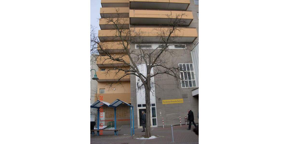 Etagenwohnung Viernheim - 3 Zimmer, 88 m&sup2;, 260.000&euro; | Angebot:24725574