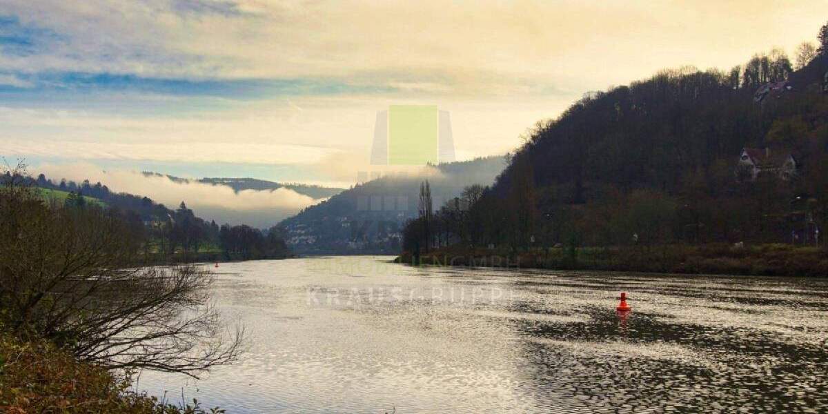 Etagenwohnung Heidelberg Ziegelhausen - 2 Zimmer, 60 m&sup2;, 559.000&euro; | Angebot:19290142