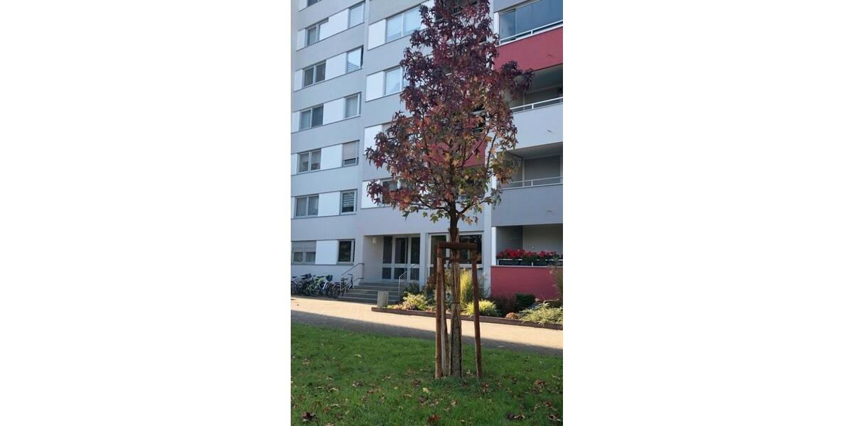 Etagenwohnung Frankenthal (Pfalz) - 2 Zimmer, 72 m&sup2;, 220.000&euro; | Angebot:24738247