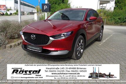 Mazda CX-30 4.000 km 32.490 € Birkenau 69488