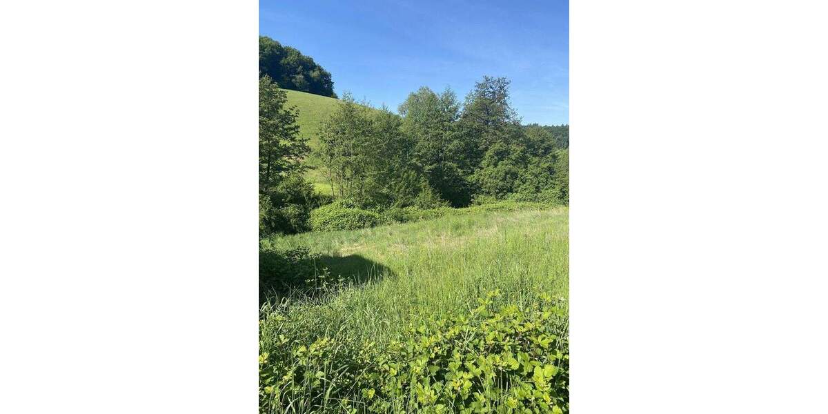 Grundstück Gorxheimertal Unter-Flockenbach - 199.500&euro; | Angebot:24015715