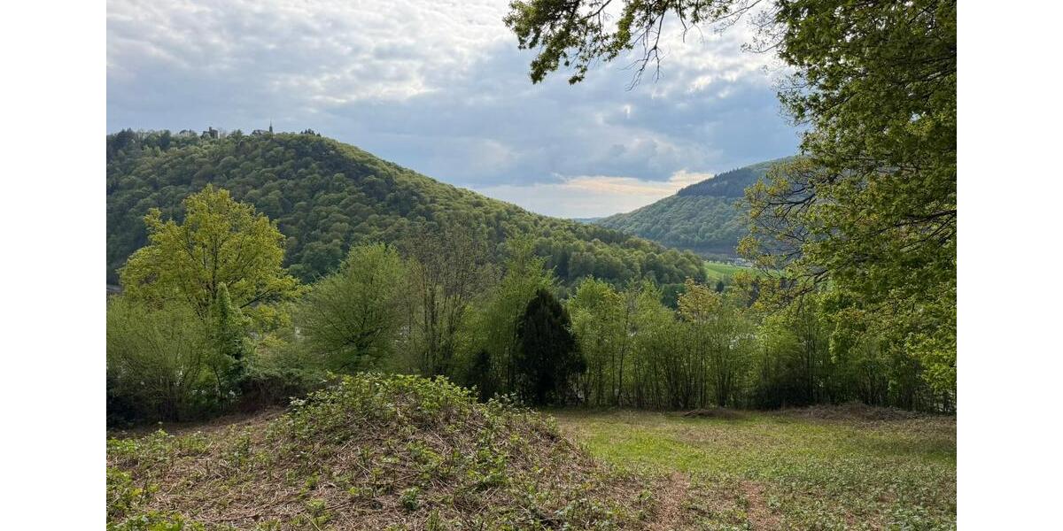 Einfamilienhaus Neckarsteinach - 220.000&euro; | Angebot:26891224