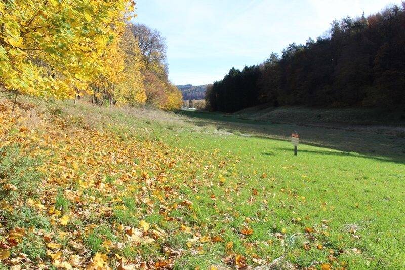 Grundstück Wald-Michelbach Kocherbach - 118.000&euro; | Angebot:23956533