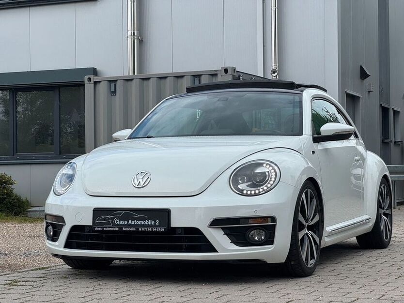 Beetle